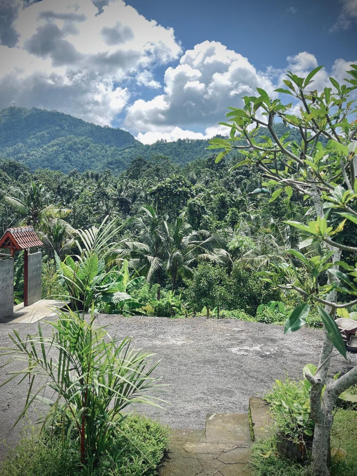 Papahan Bali Сидемен Экстерьер фото