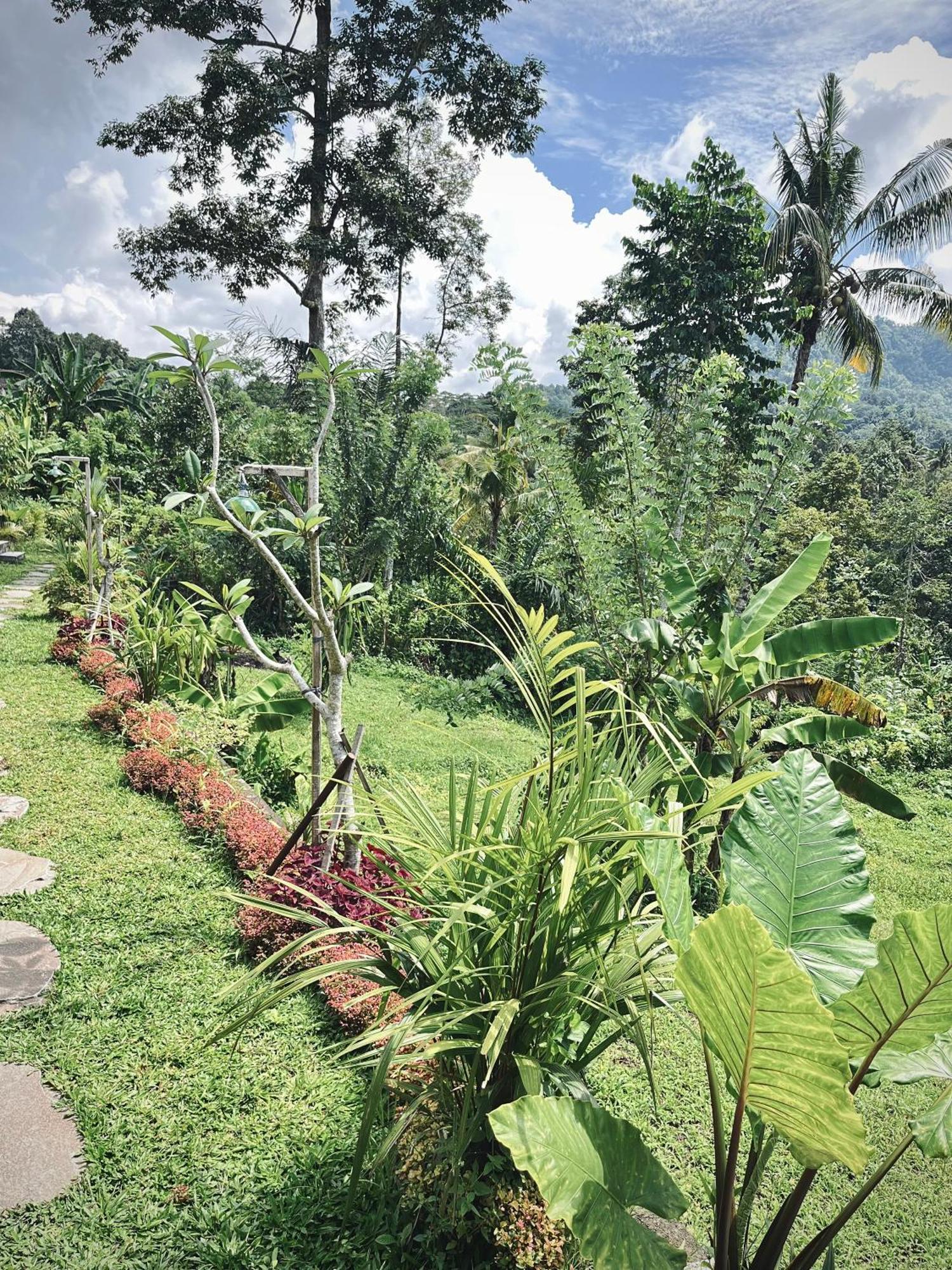 Papahan Bali Сидемен Экстерьер фото